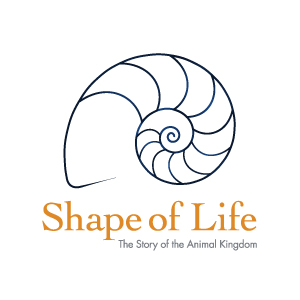 Chordates: We're All Family - for ONLINE LEARNING