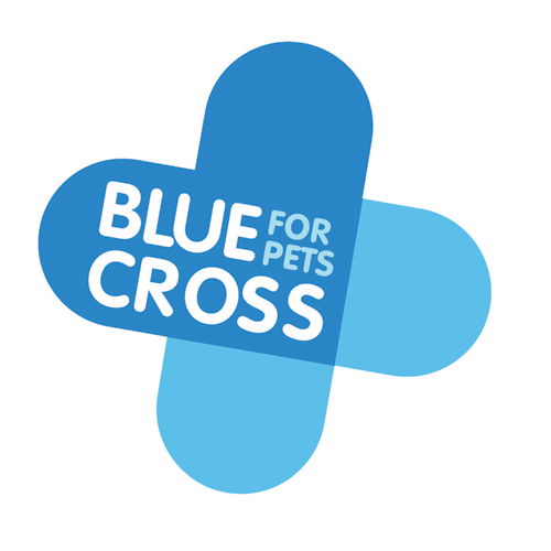 Blue Cross Education