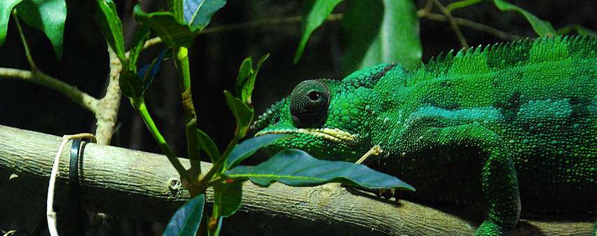 Can You Spot an Outlier?