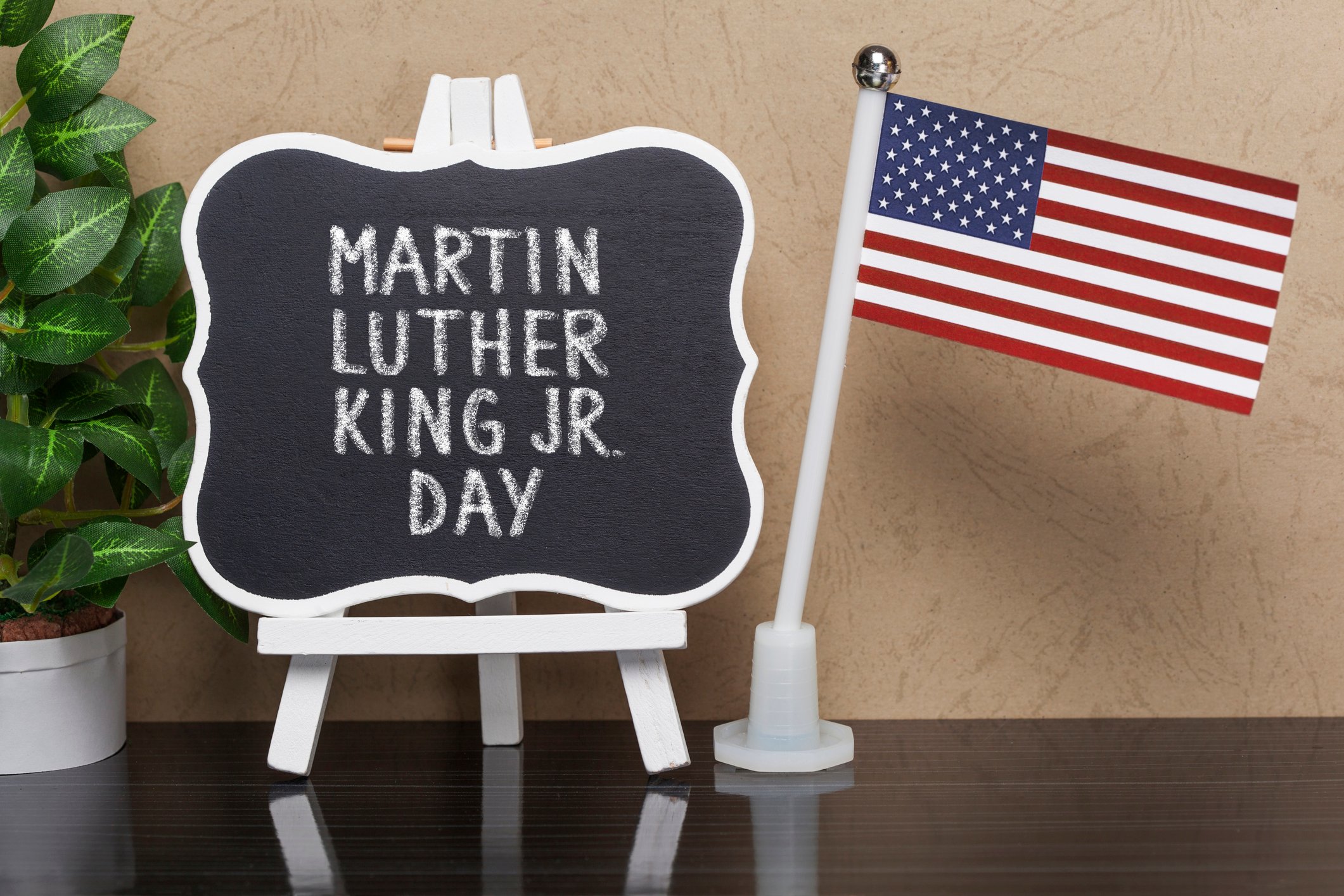 Martin Luther King & the Dream-R. DuBose-Butler -8