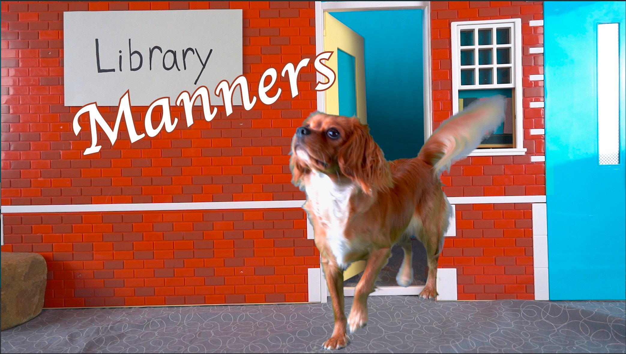 Library Manners