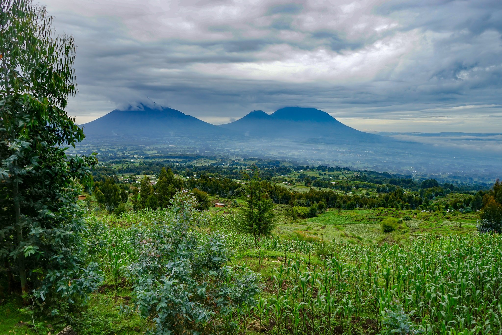 Justice After Genocide: Rebuilding Rwanda