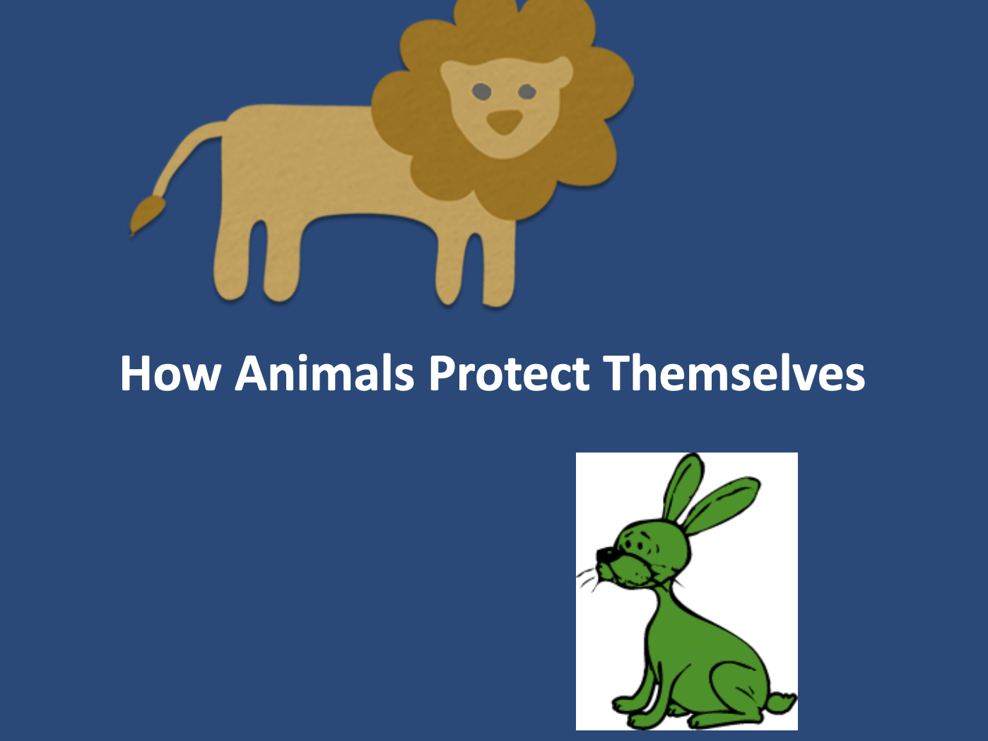 Animal Protection