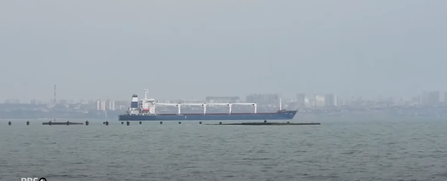 Ukraine Resumes Grain Shipments Amid Global Food Shortages