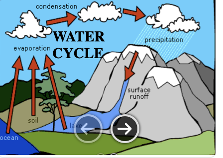 Watercycle worksheet and answers