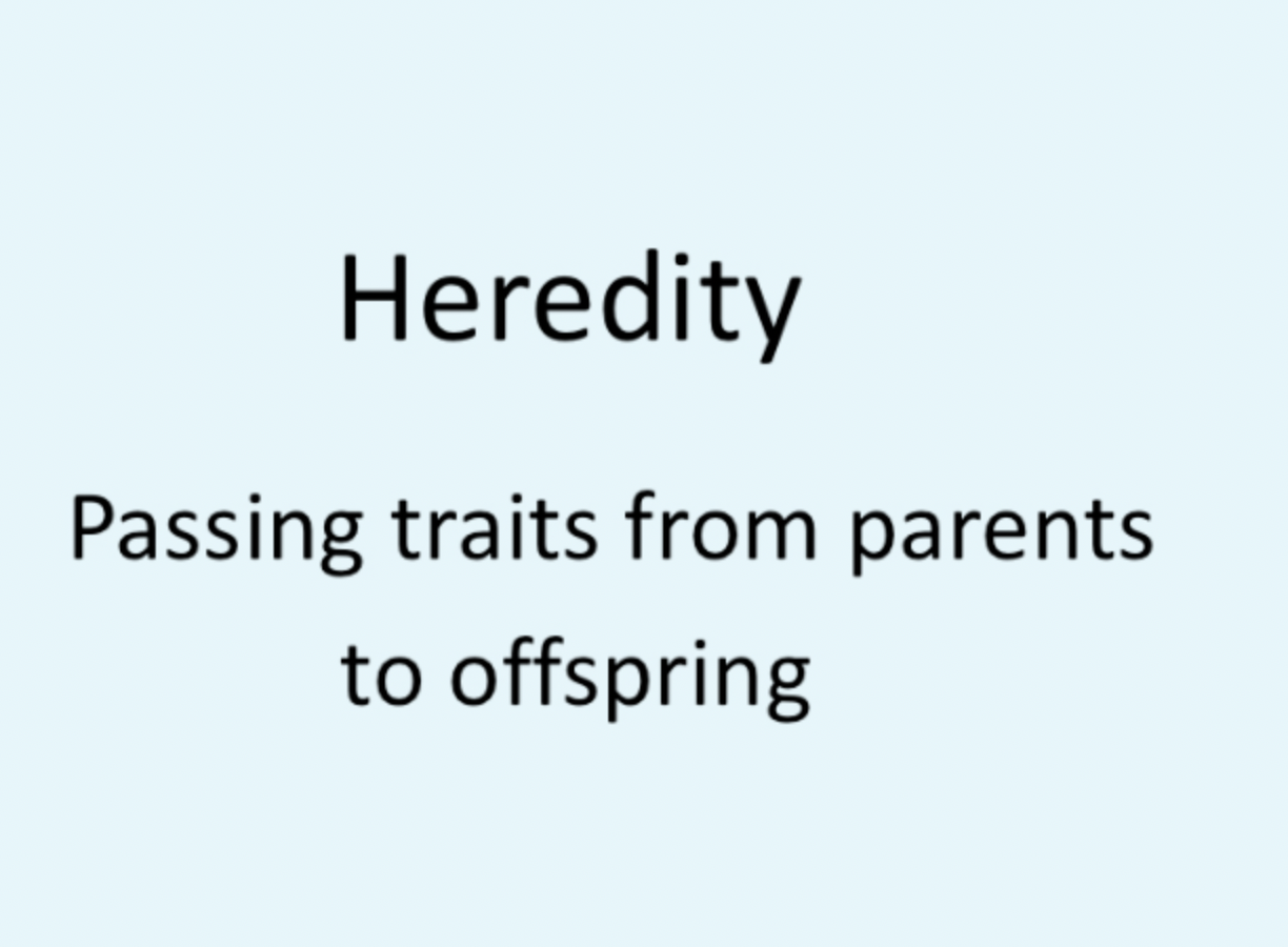Heredity