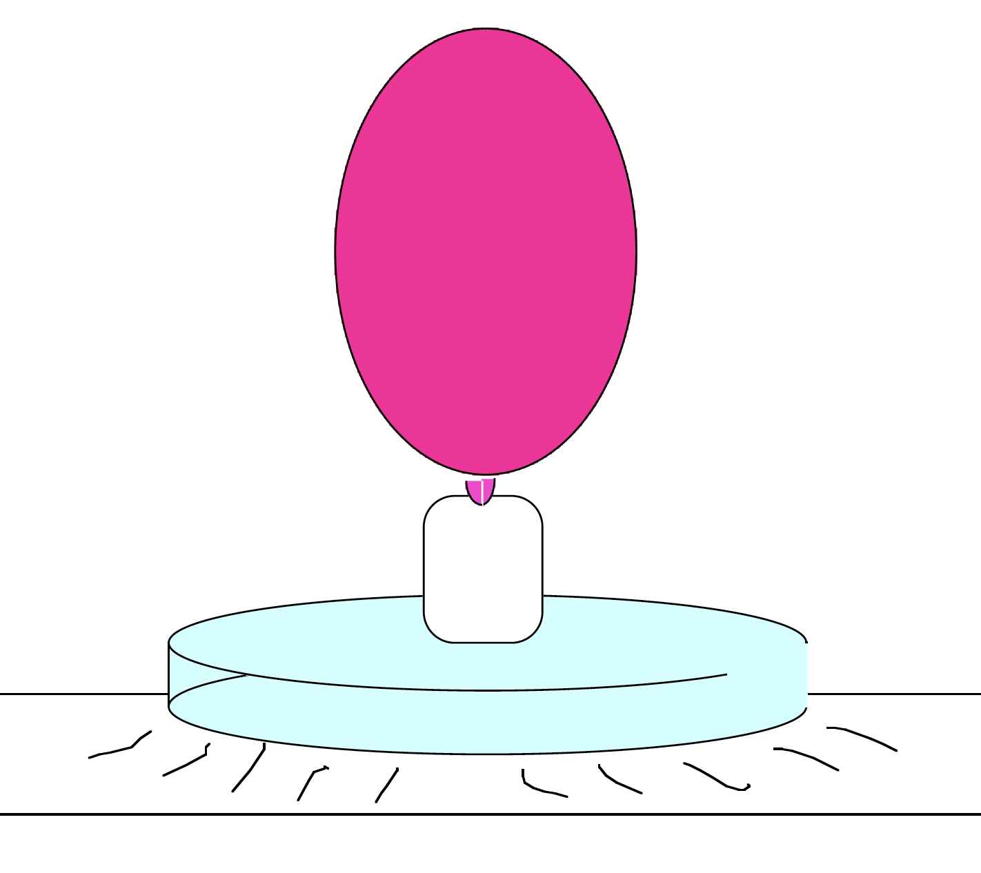 BOTTLE ROCKET & OTHER 3 LAWS OF MOTION EXERCISE