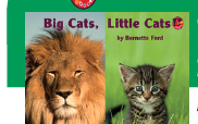 Big Cats, Little Cats - Guided Reading Lesson Plan