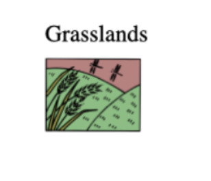 GRASSLANDS