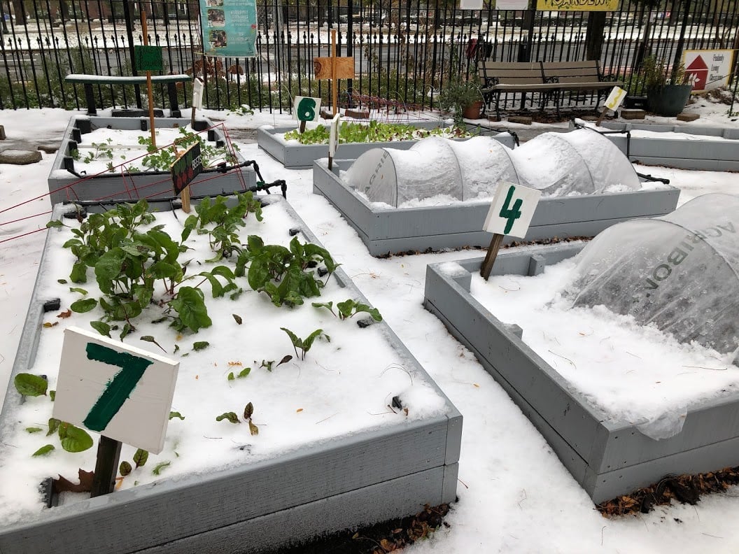 The Winter Garden