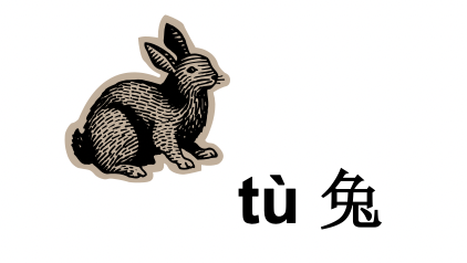 Chinese Zodiac Flashcards and mini cards