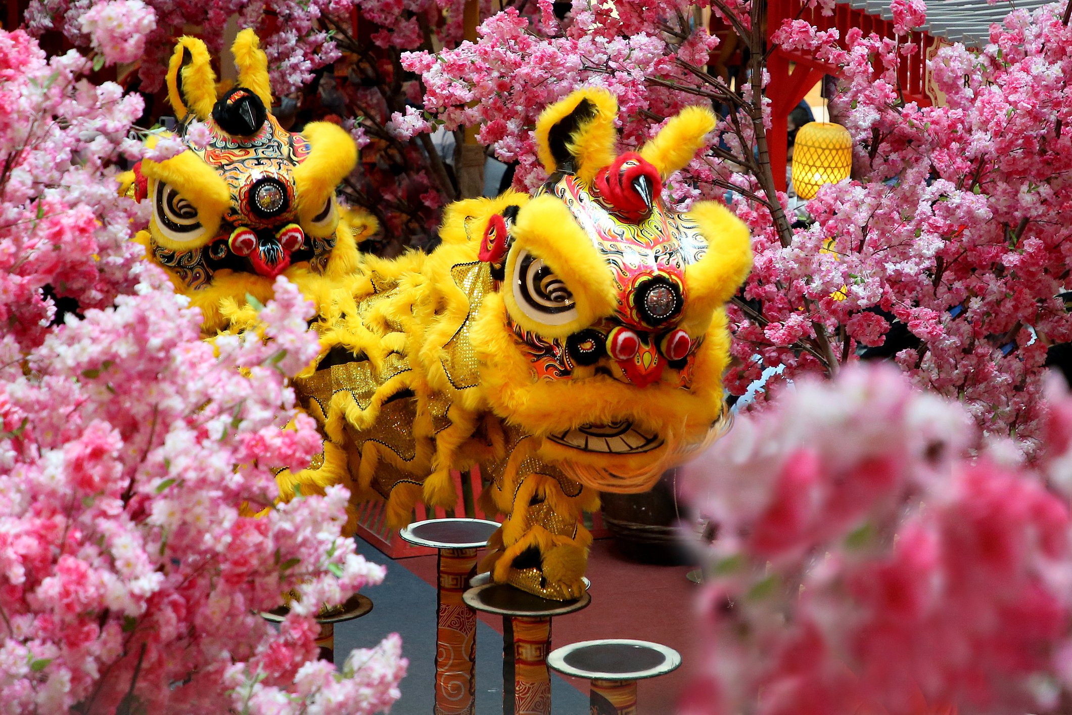 Lion Dance Puppet