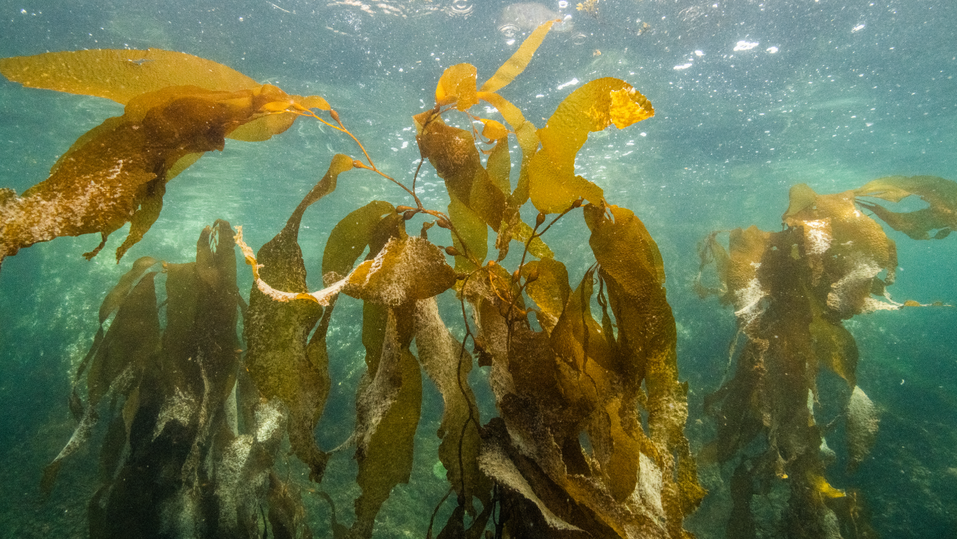 Mindfulness exercise