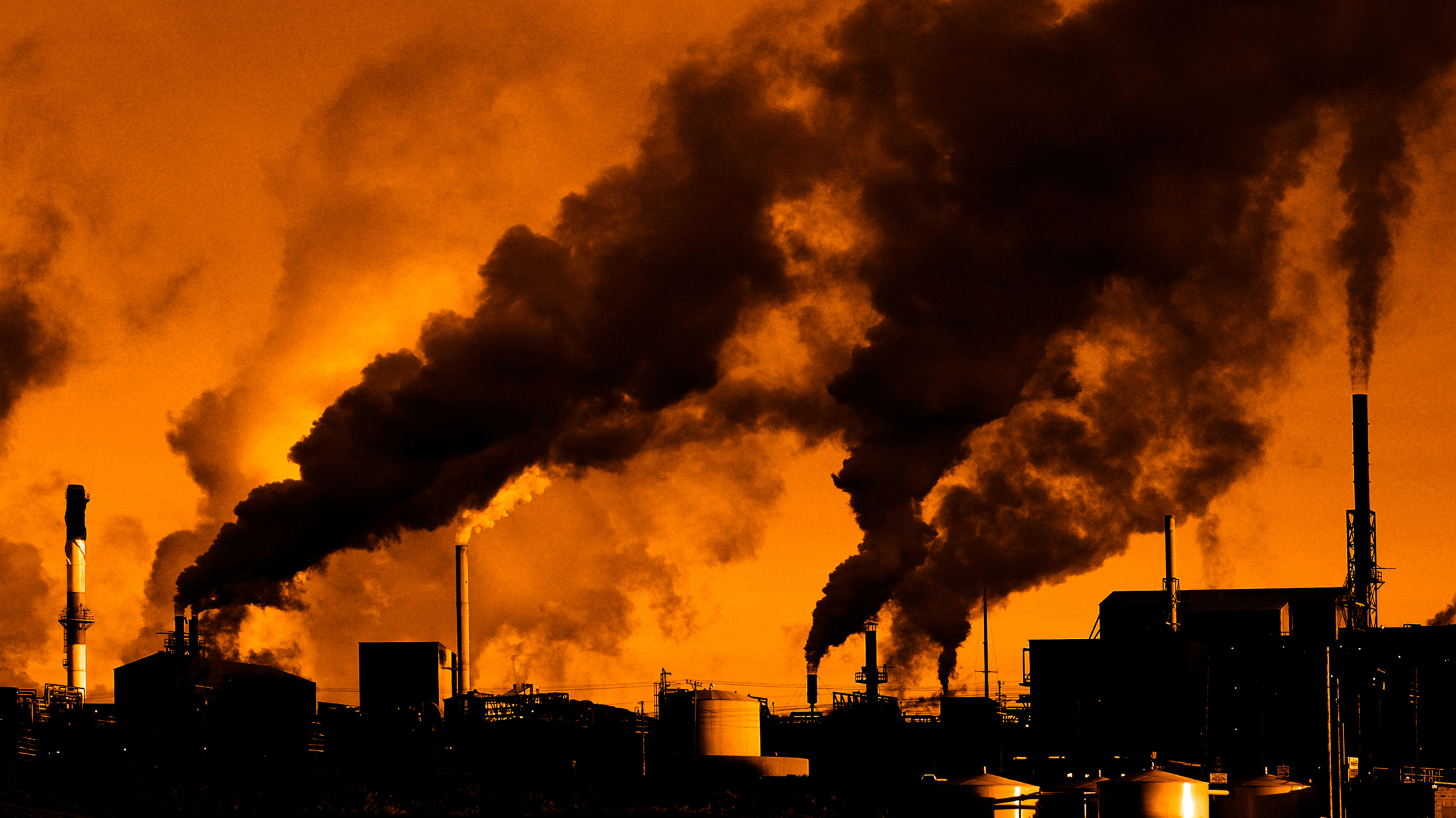 Understanding the Cardiorespiratory System