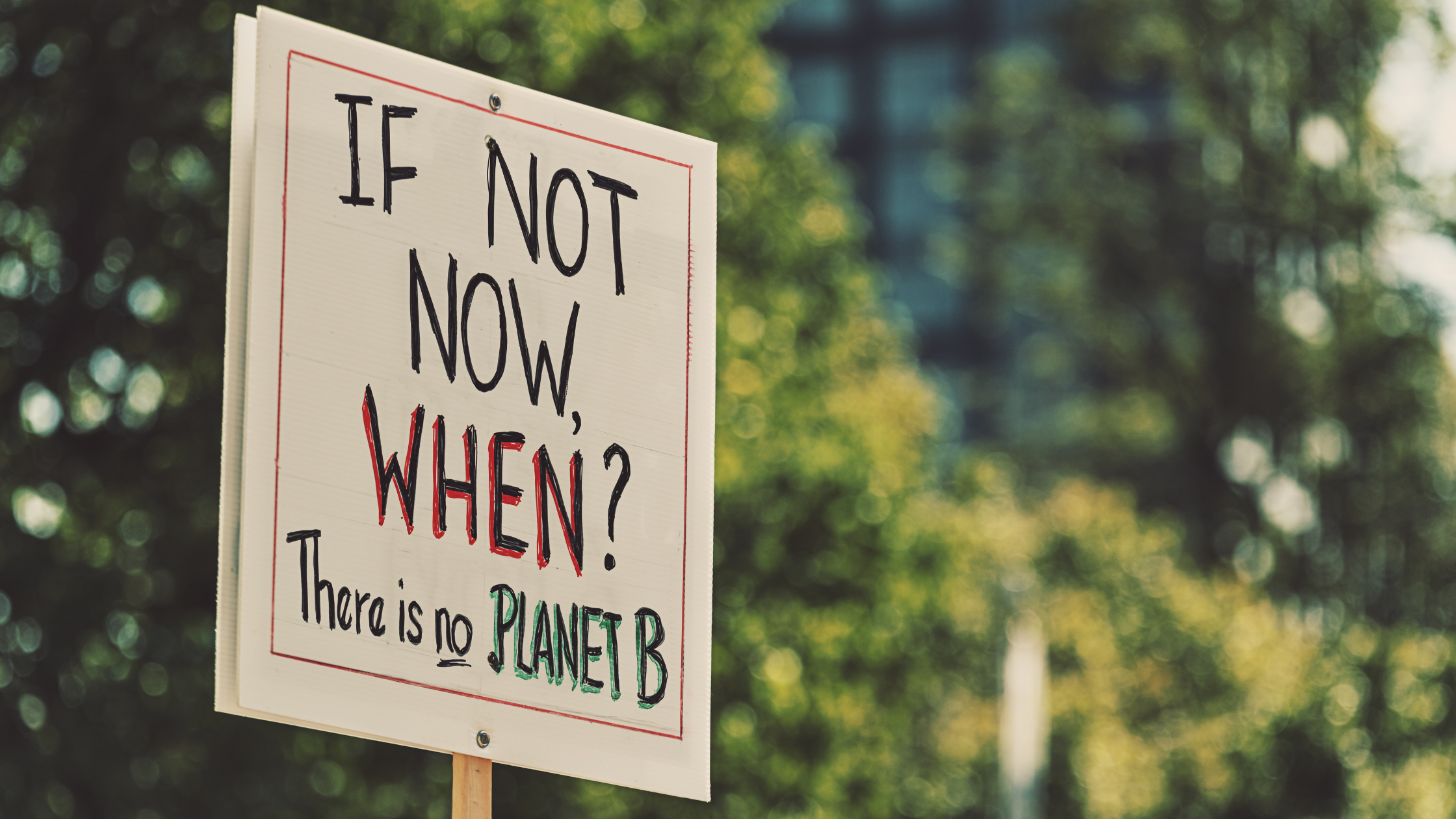 Coping with Climate Anxiety: Mental Health Activities