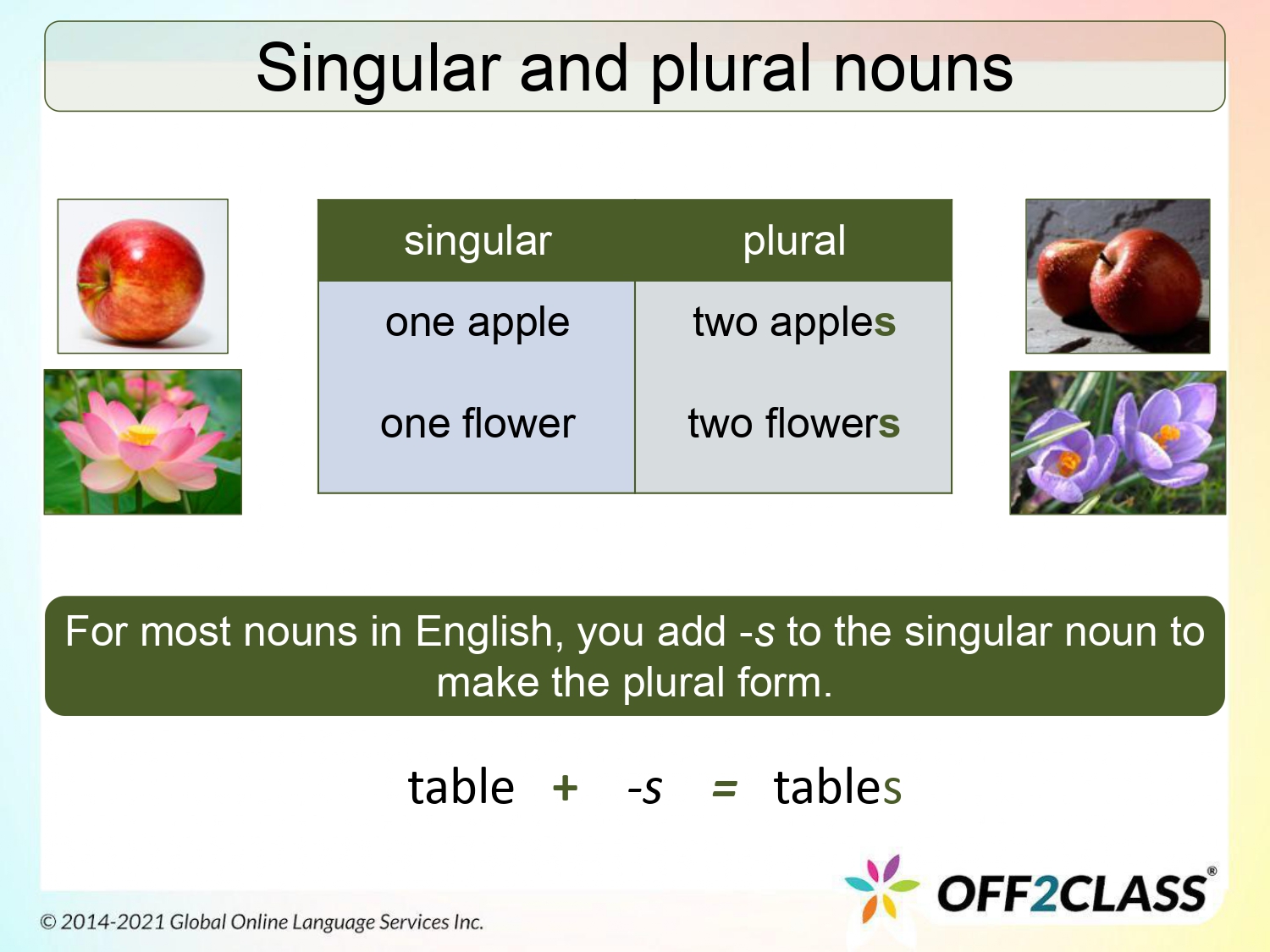 Singular And Plural Regular Nouns – Free ESL Lesson Plan 