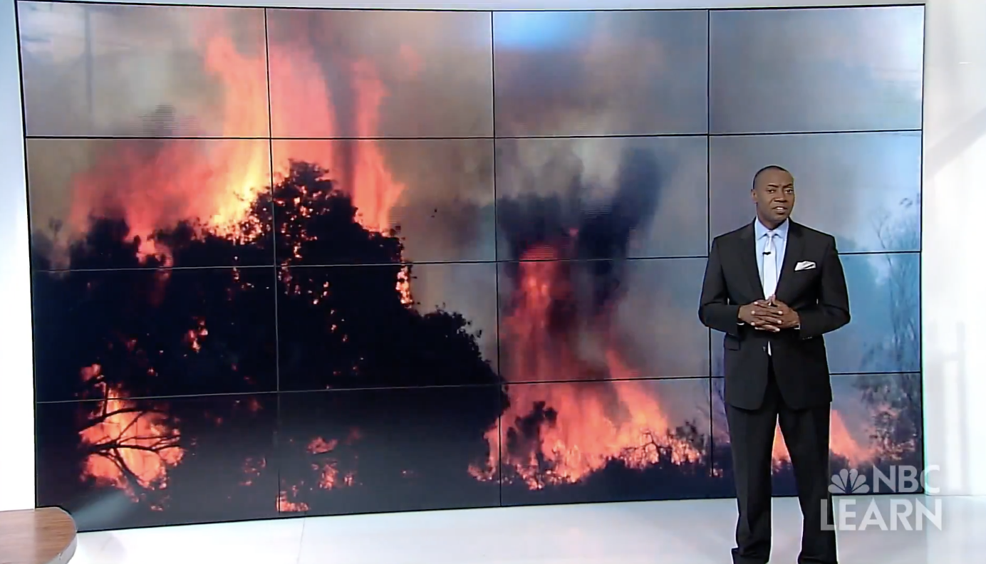 When Nature Strikes: Wildfires (NSF)