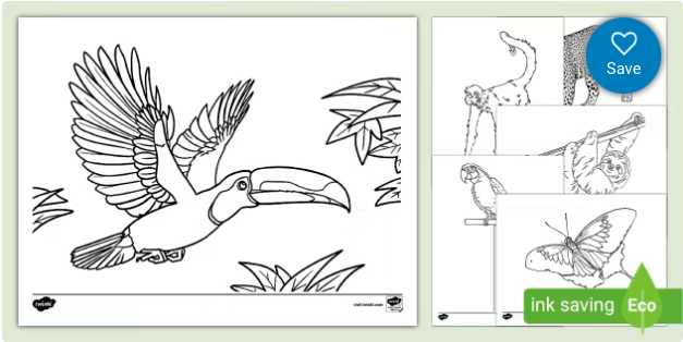 Rainforest Coloring Sheets