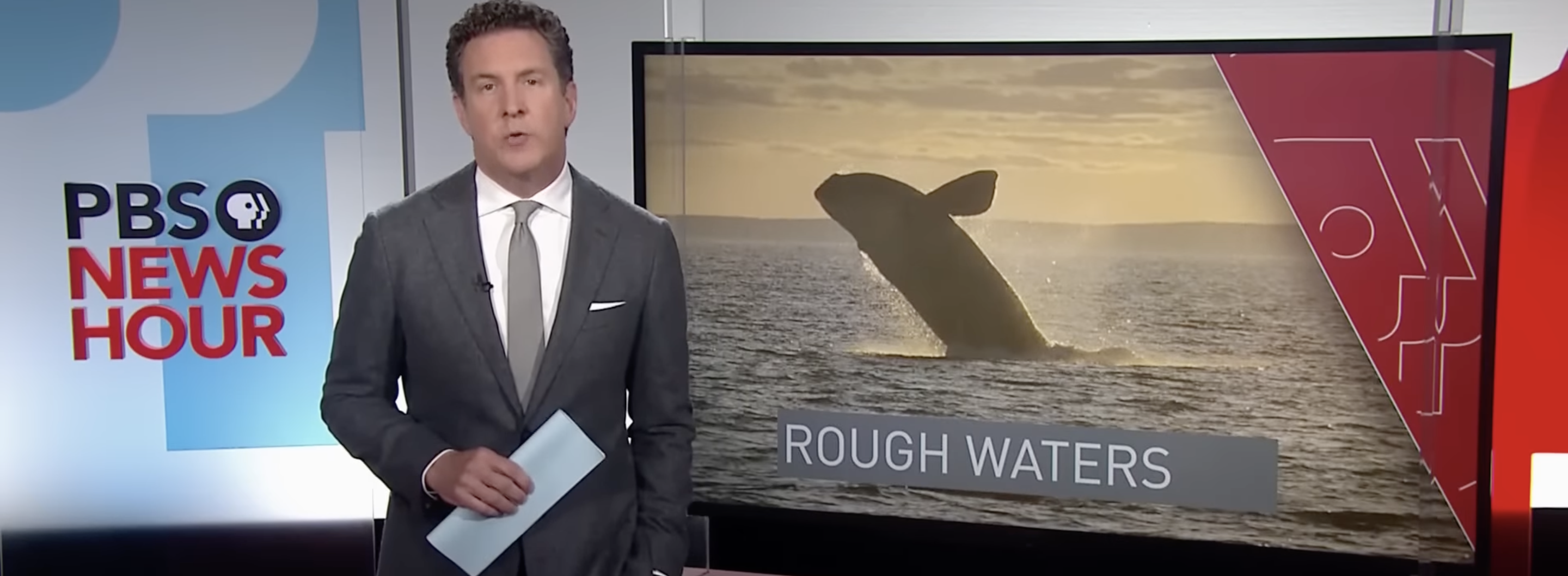 Lobster Industry Says Regulations to Save Right Whales Will Push Them Out of Business