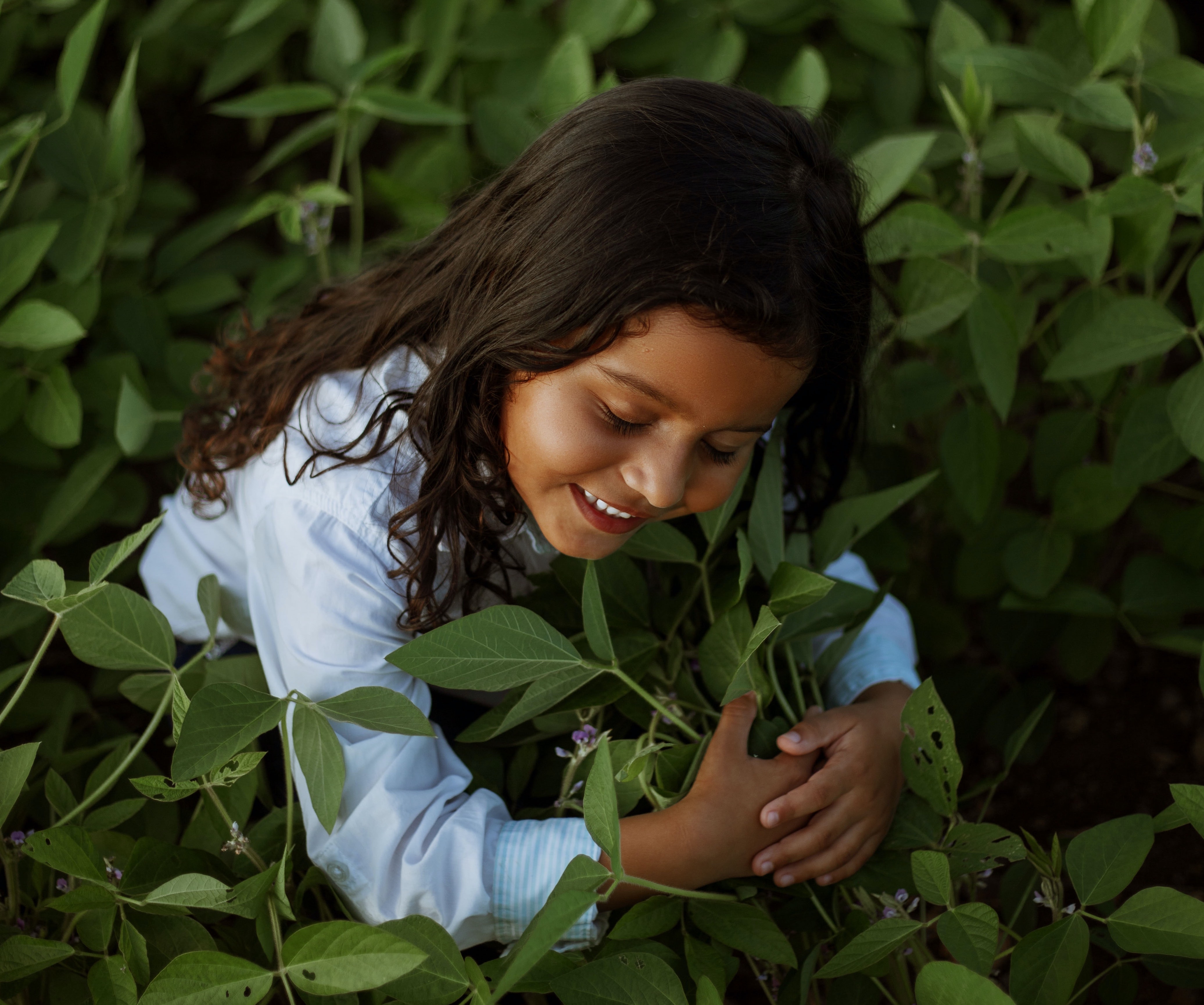Salt, Plants, & Soil: Biology & Art Worksheets & Vocab Cards
