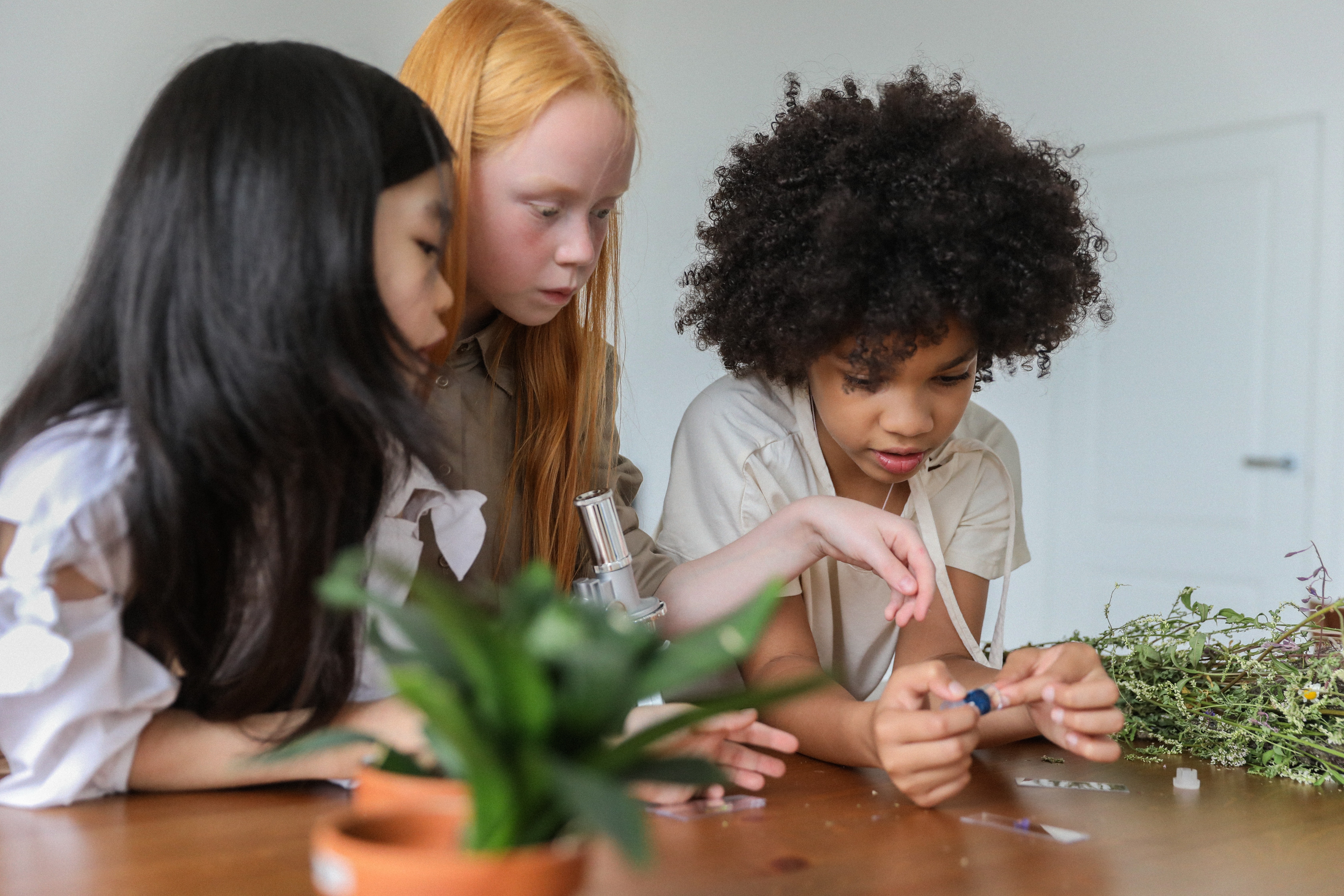 The Benefits of Composting: Science & ELA Games