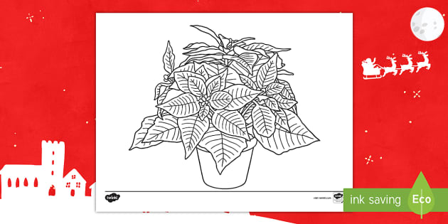 Poinsettia Coloring Sheet
