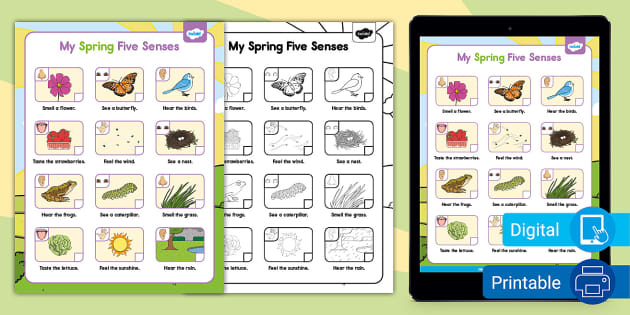 My Spring Five Senses Scavenger Hunt