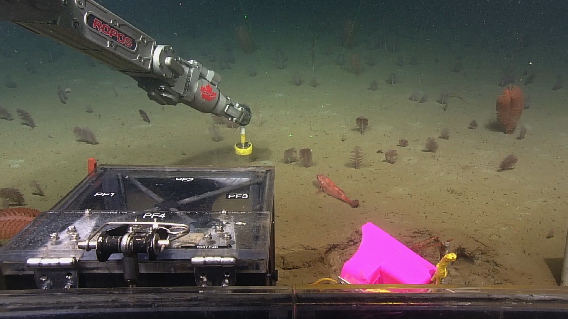 Technology's role in your career | Quick reflection exercise