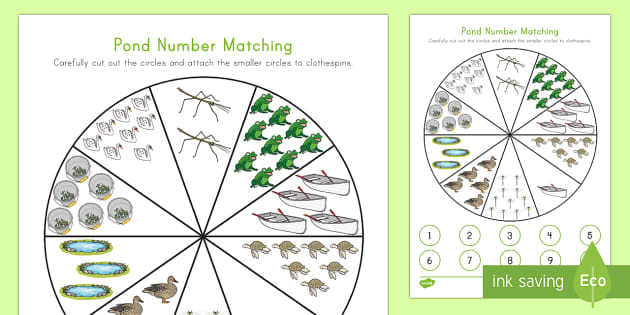 Pond Number Matching Activity