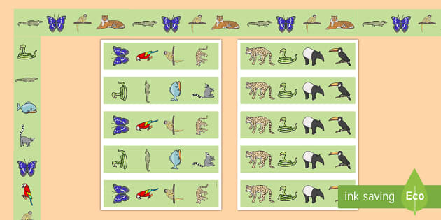 Jungle Bulletin Board Borders