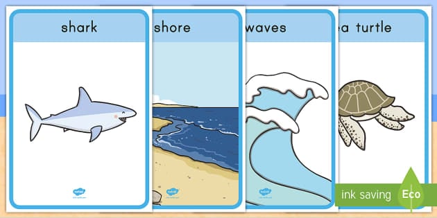 Beach Habitat Posters