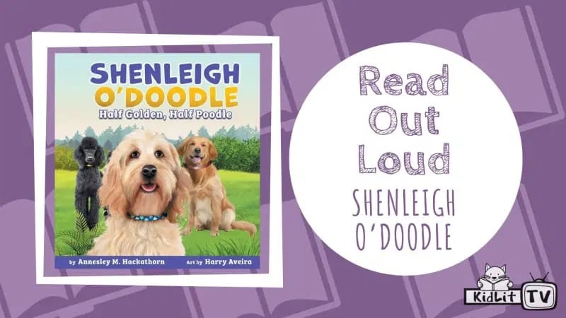 Read Out Loud SHENLEIGH O’DOODLE HALF GOLDEN, HALF POODLE