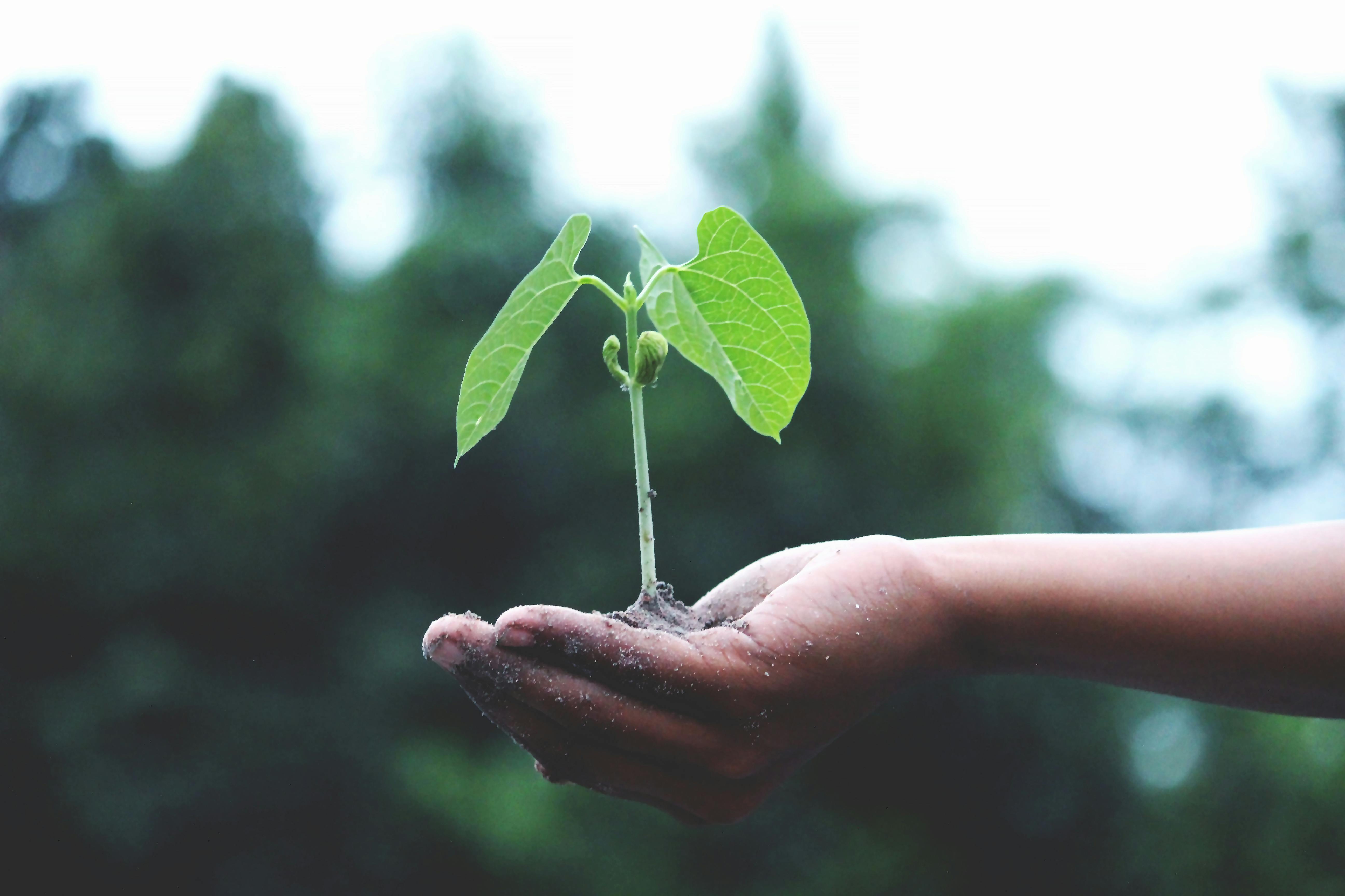 Earth Day Activities for Elementary Students