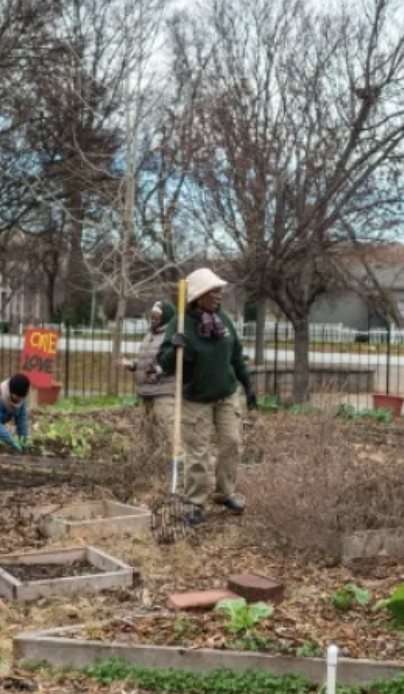 Man in a garden