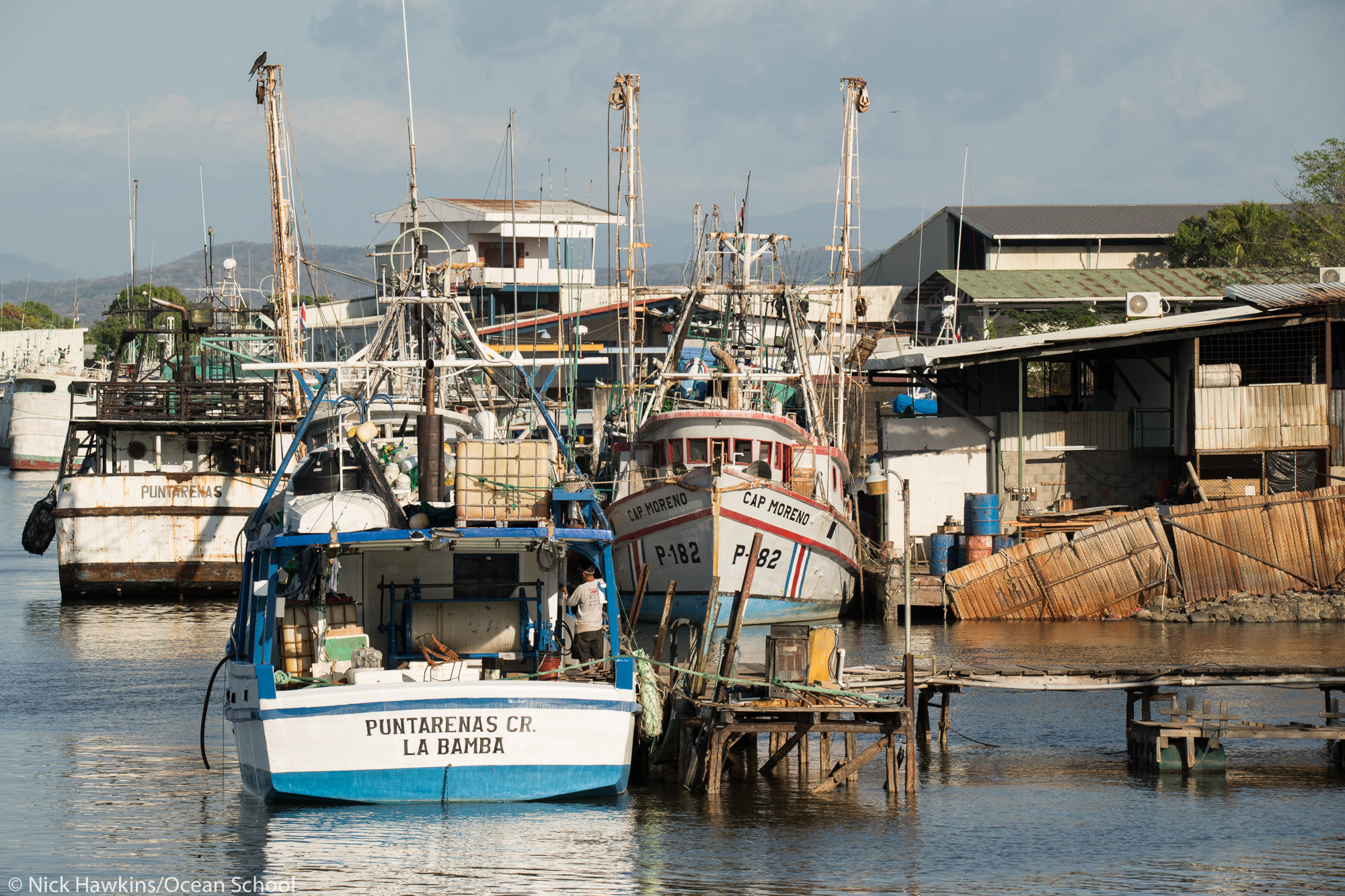 A critical analysis of the news: Shrimp trawling ban -- focus on stakeholder perspectives
