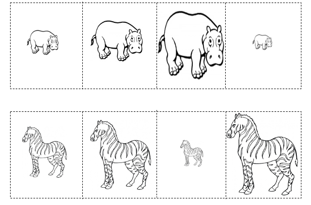 Sizing and ordering African animals