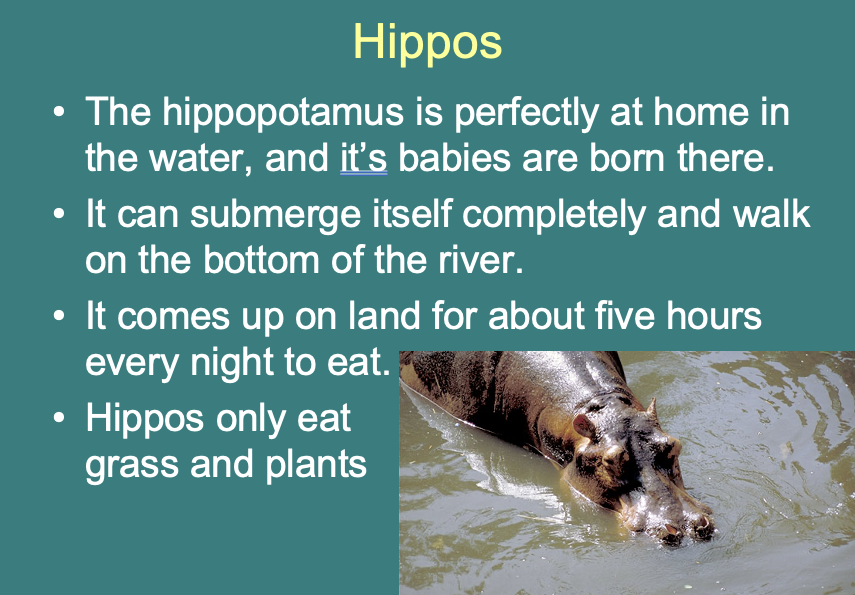 PowerPoints about life in Africa