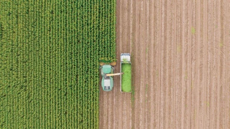 How to Lower Agriculture and Land-Use Emissions