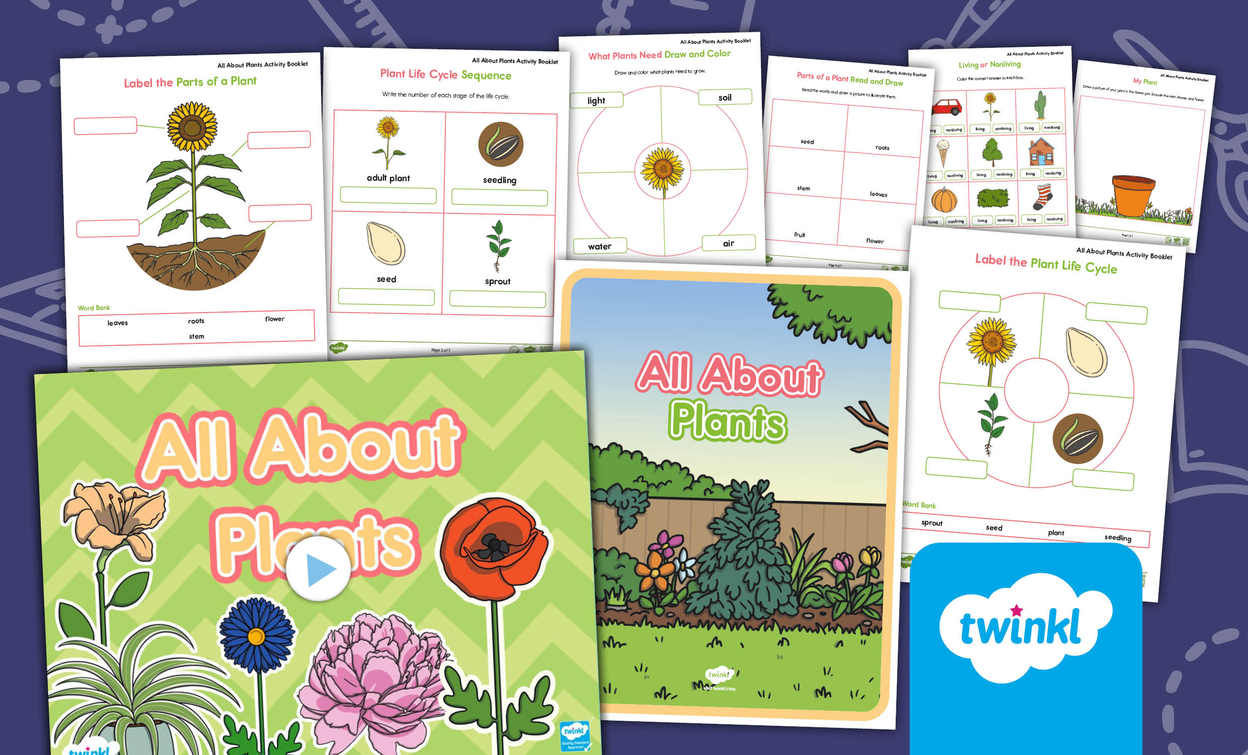 All About Plants Lesson for PK-K