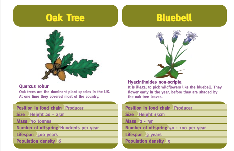 Top trumps cards of plants and animals