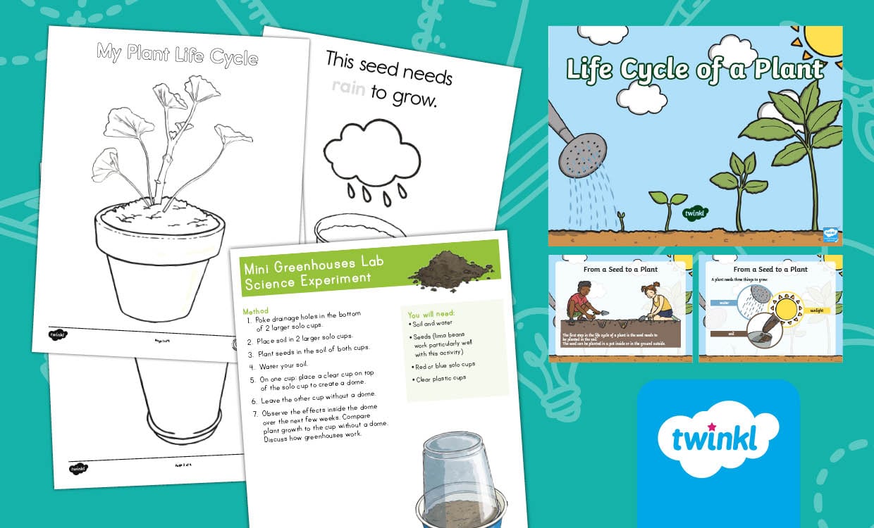Life Cycle of a Plant Lesson Pack for K-2nd Grade
