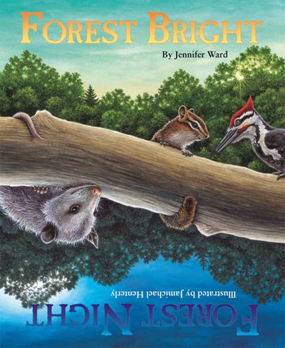 Forest Bright, Forest Night Activity