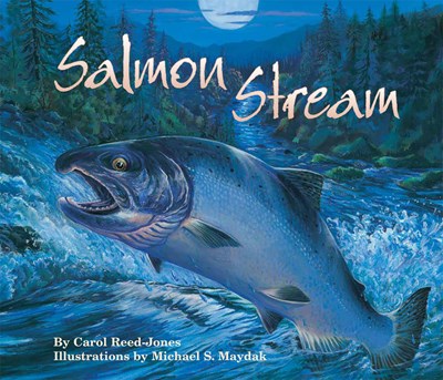 Salmon Stream Activity