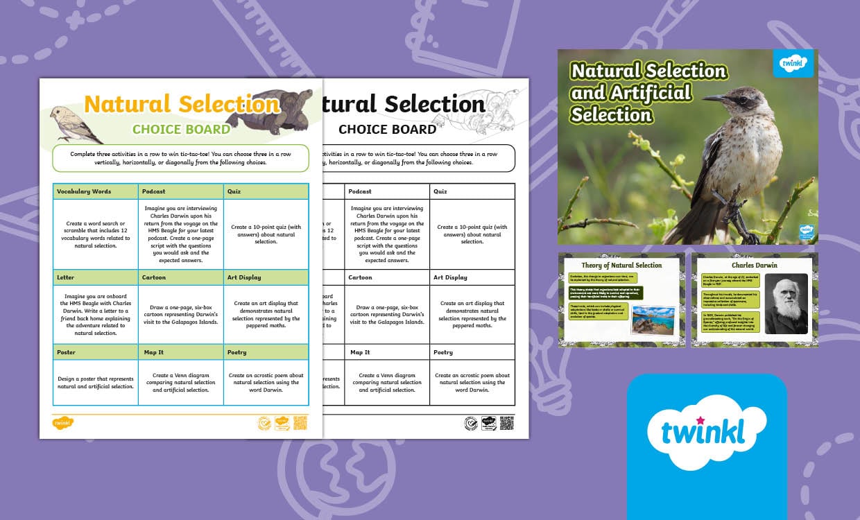 Natural and Artificial Selection: Middle School PowerPoint & Choice Board for 6th-8th Grade