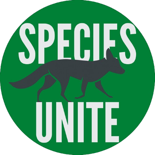 Free 6-Week Wolf Education Unit for Grades 9-12