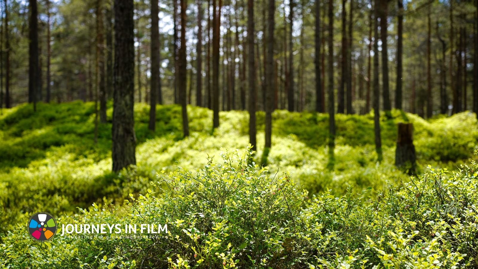 Regreening: Empower Students with Environmental Solutions