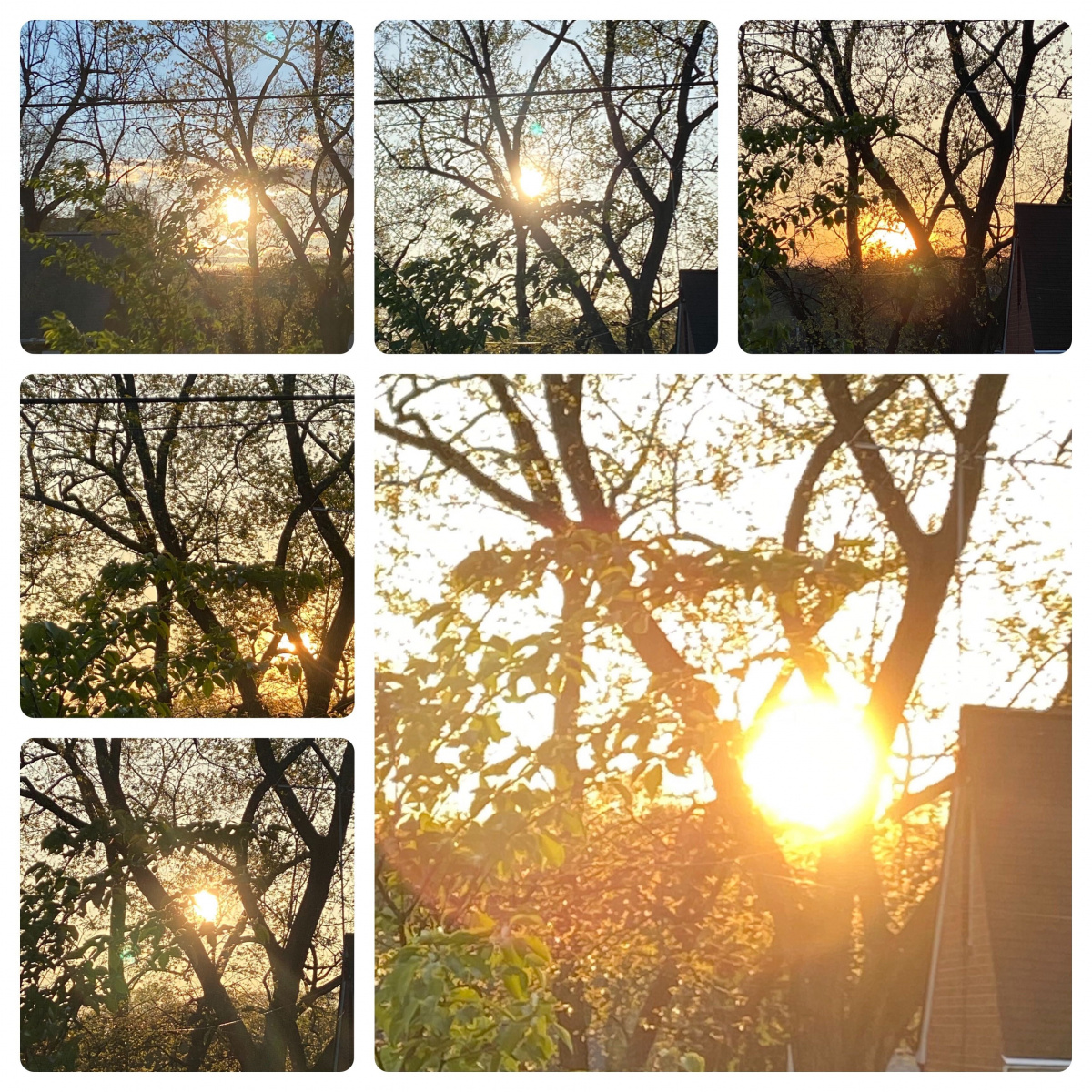 parent perspective: watching sunsets with the family