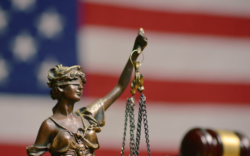 The 25th Amendment: Presidential Illness - Constitutional Crisis (EDITH WILSON)