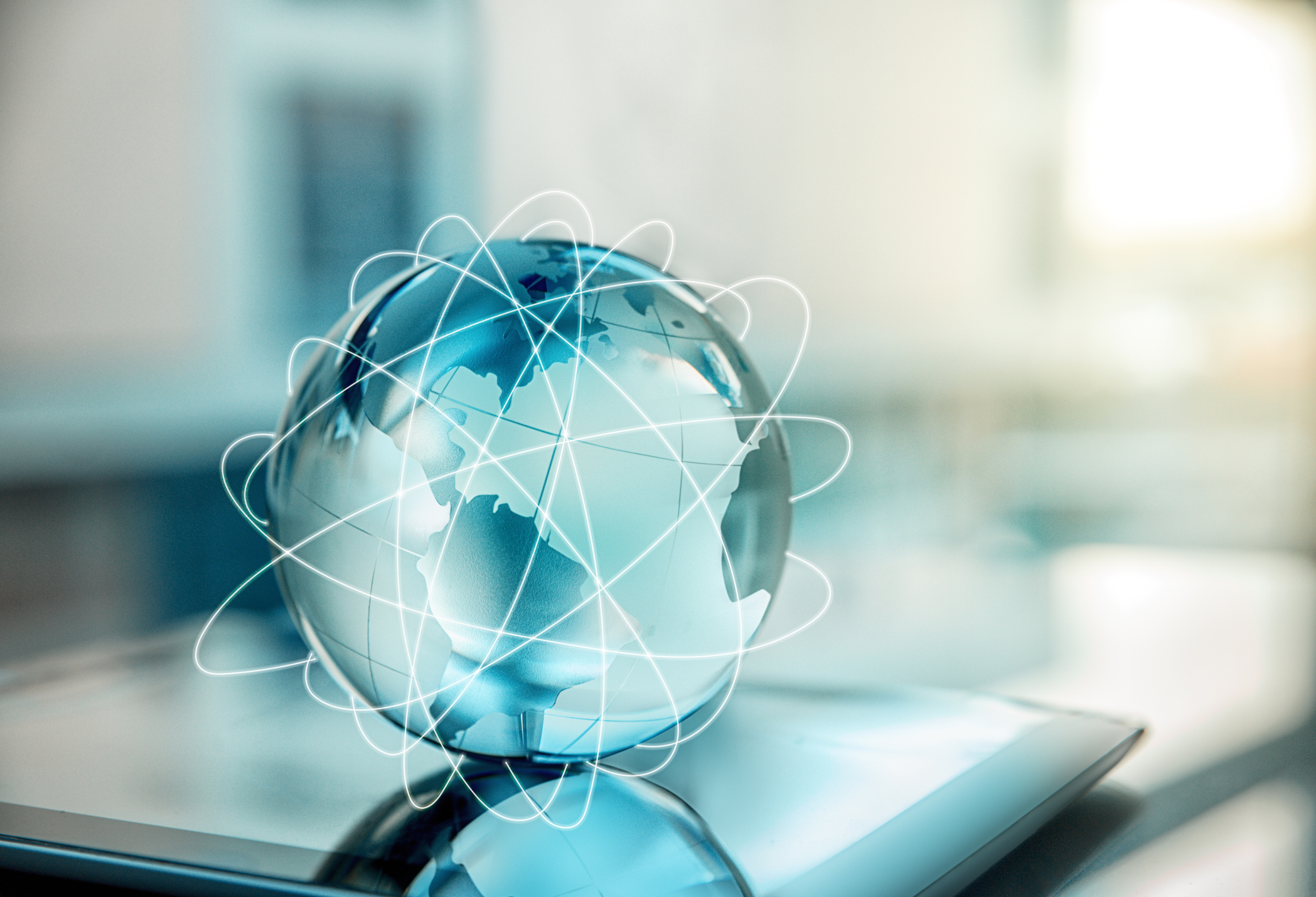 Immigration and the Global Economy SEL