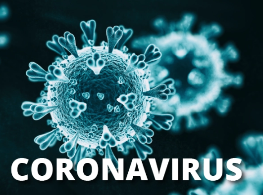 learn more about anti-asian sentiment stemming from coronavirus in our collection on coroanvirus resources